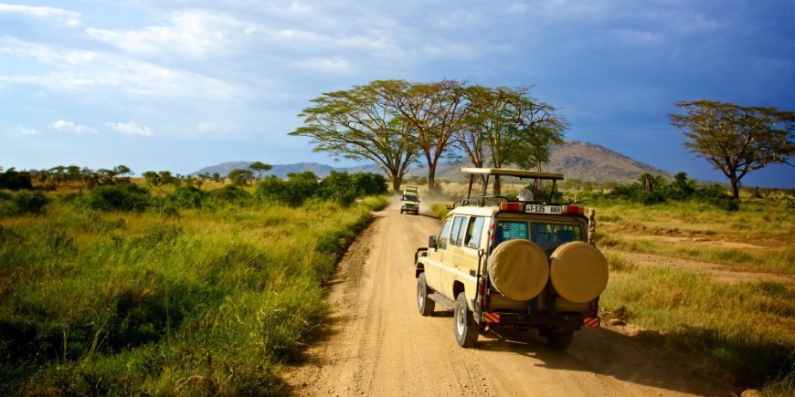Game drives