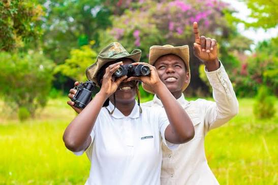 Talk to a safari planner